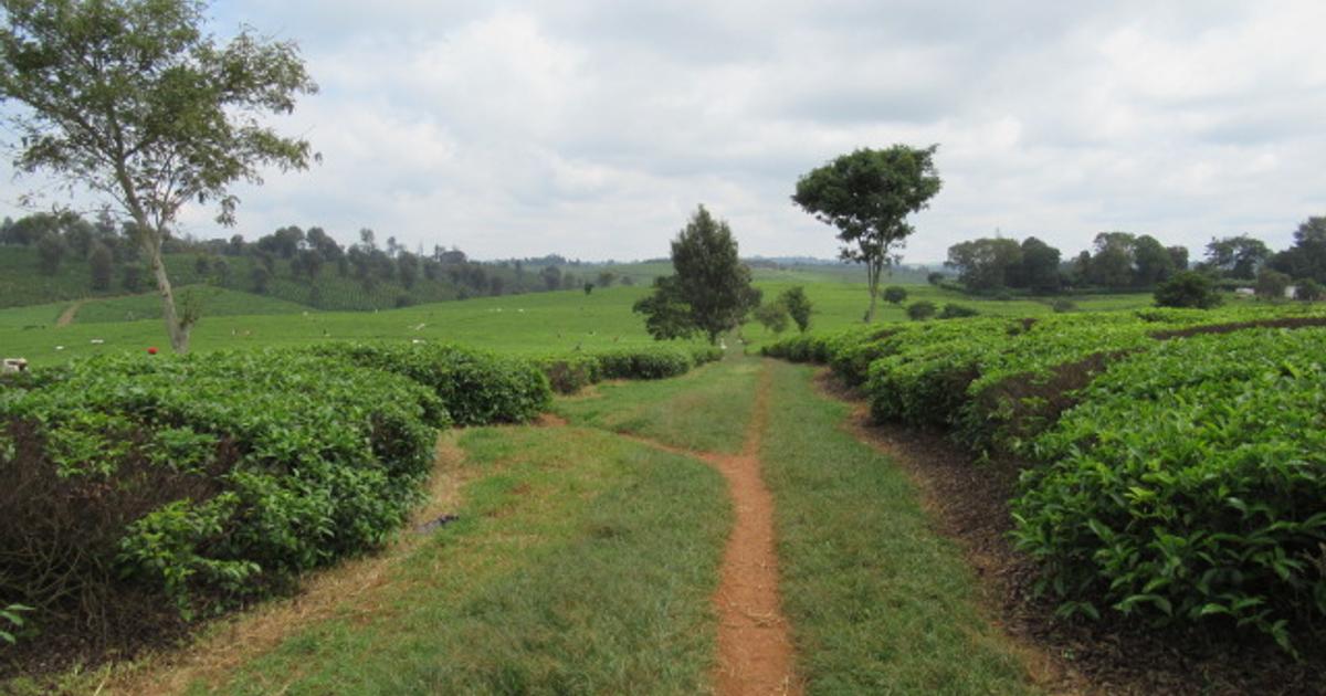 Land in Kiambu Town