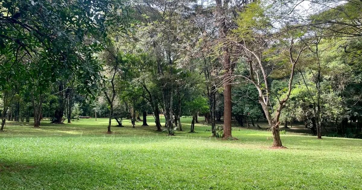 1.347 ac Land at Kingara Rd | BuyRentKenya