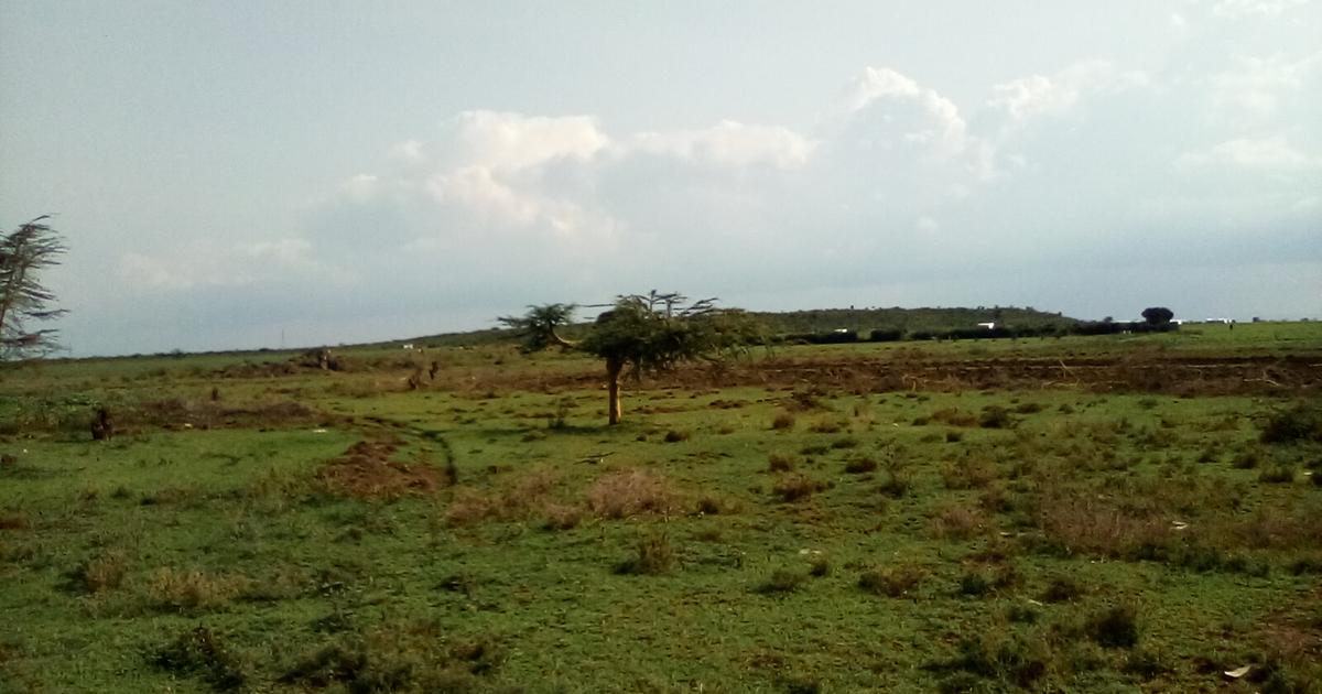 Land in Rumuruti for P.O.A BuyRentKenya