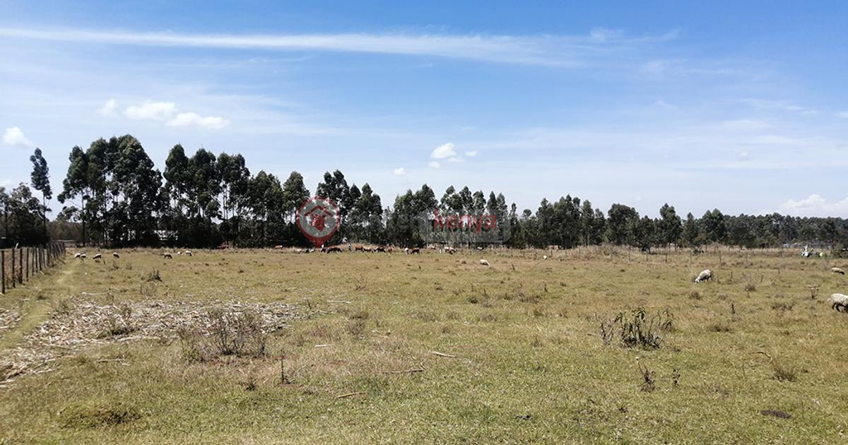 Land for Sale in Eldoret BuyRentKenya