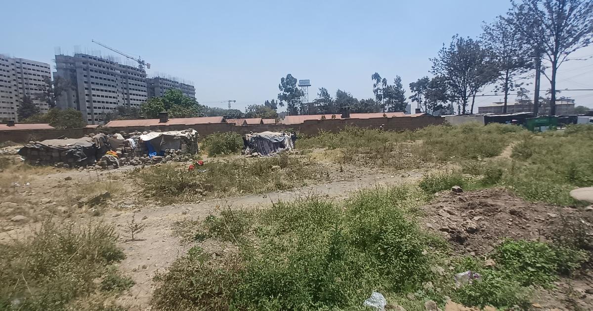 land shark nike football cleats