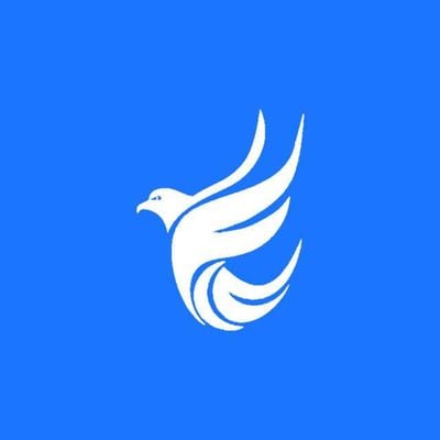Blue Falcon Estate Agents