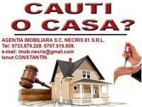 logo Agentia Imobiliara Necris