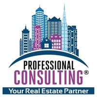 logo Professional Consulting