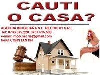 logo Agentia Imobiliara Necris