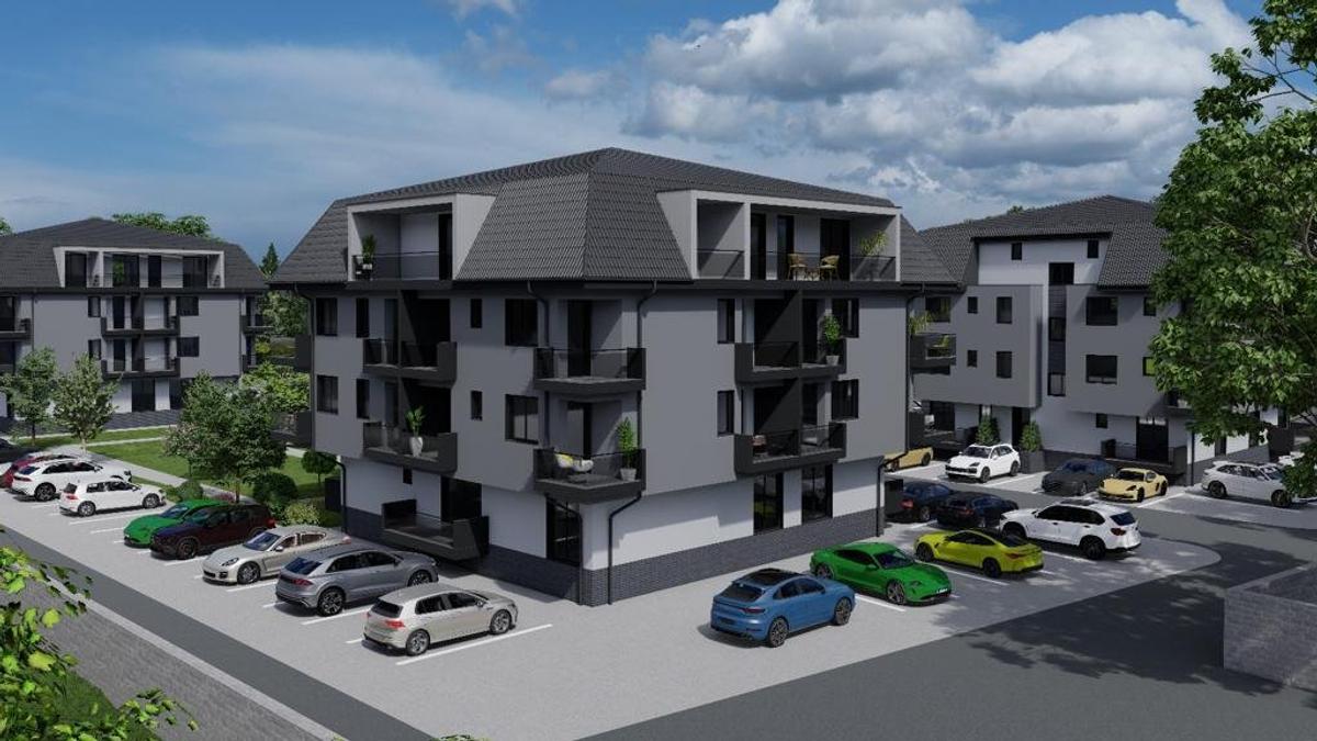 Apartament 3 camere pe strada Oasului in bloc de 1-2-3 camere. Dezvoltator. - 12