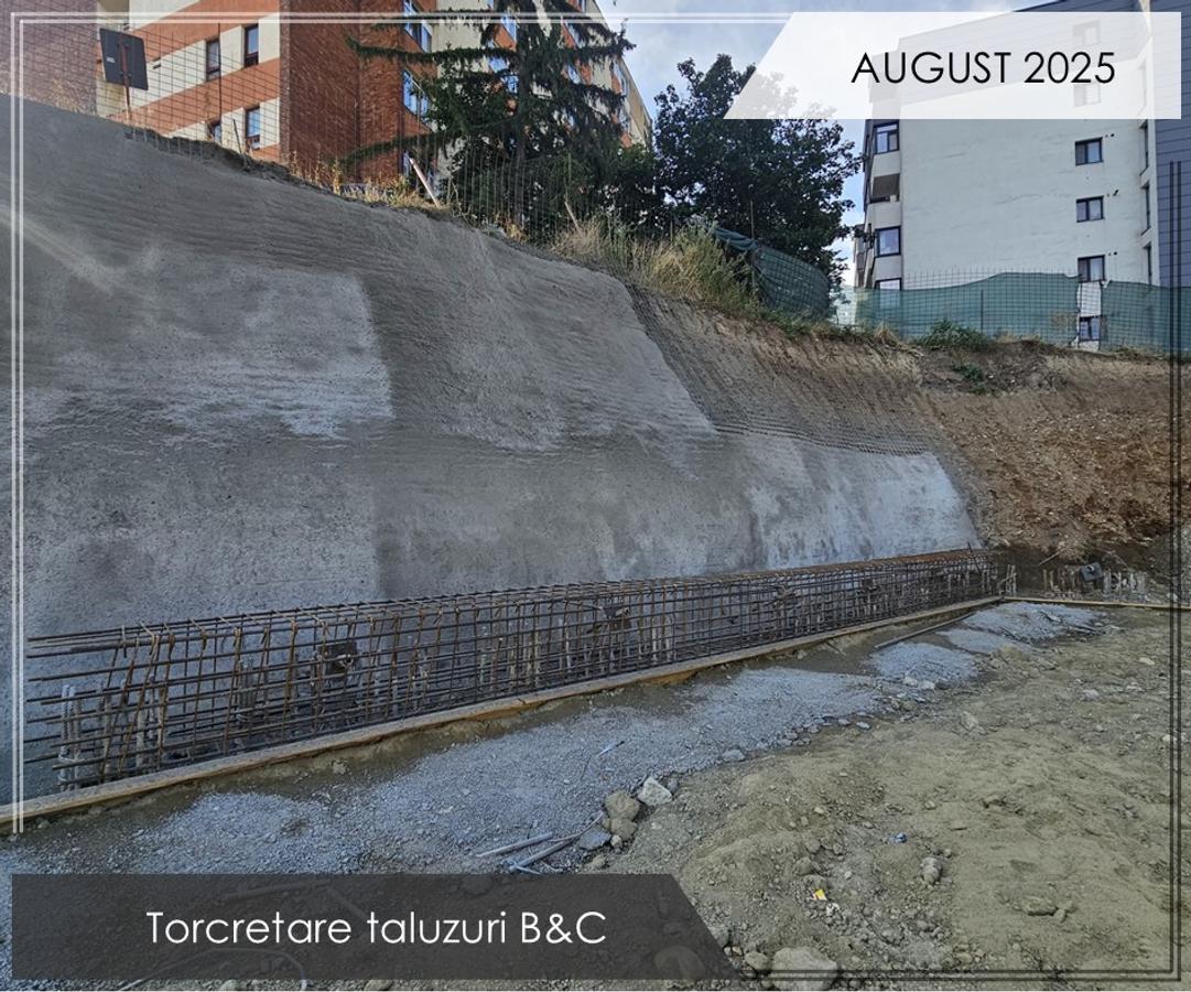 3740102f-13fe-4661-9dd0-9104fd1f7da3 - 7