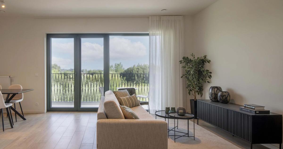 Screenshot 2025-02-21 211155 - 1