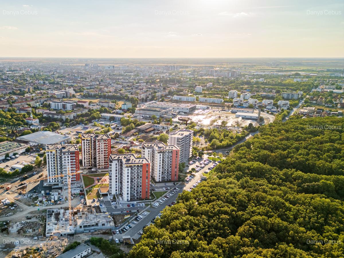 Denya Forest, Timișoara, Județul Timiș - 2