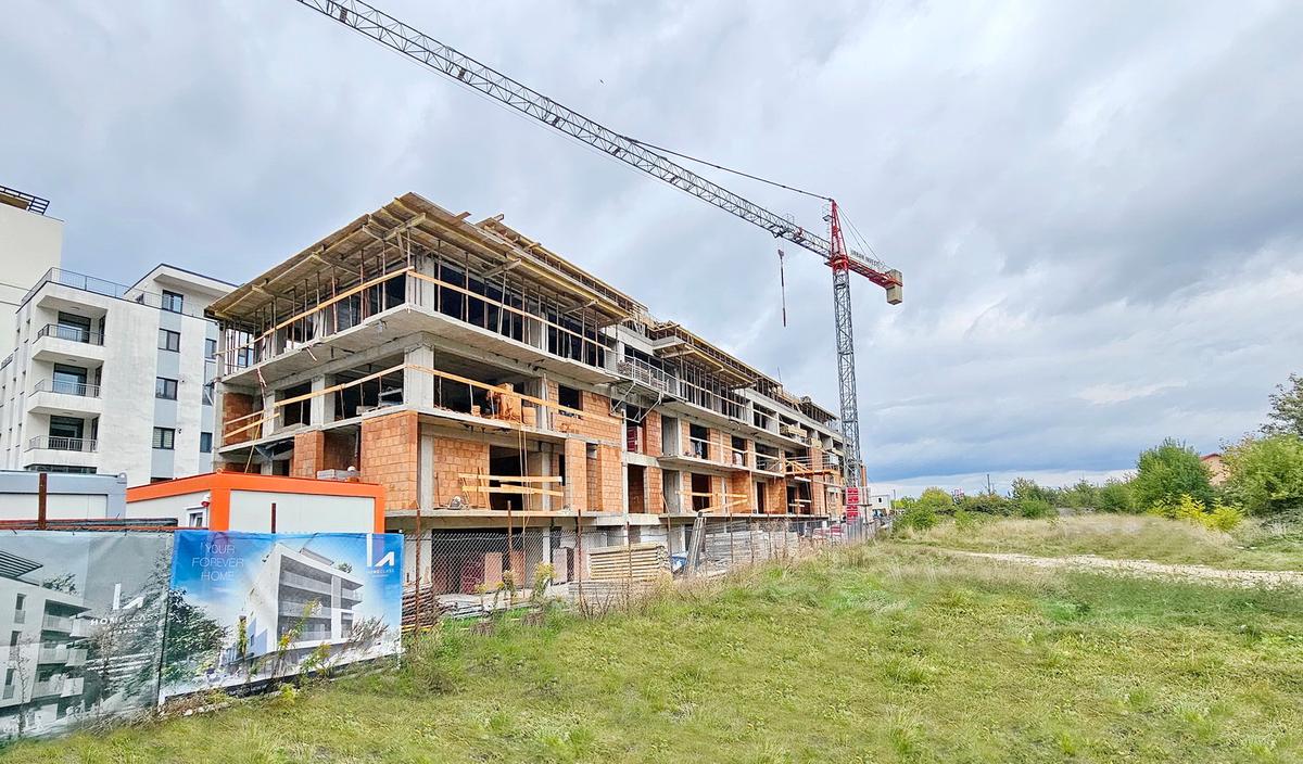 d00b2339-e662-4a47-ab95-43d52c0f4c9c - 1