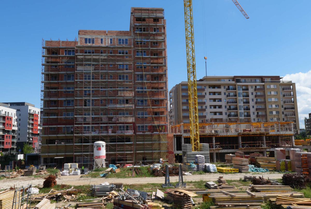 fba5b02d-e737-44e9-aea6-26cd27ee4ef3 - 1