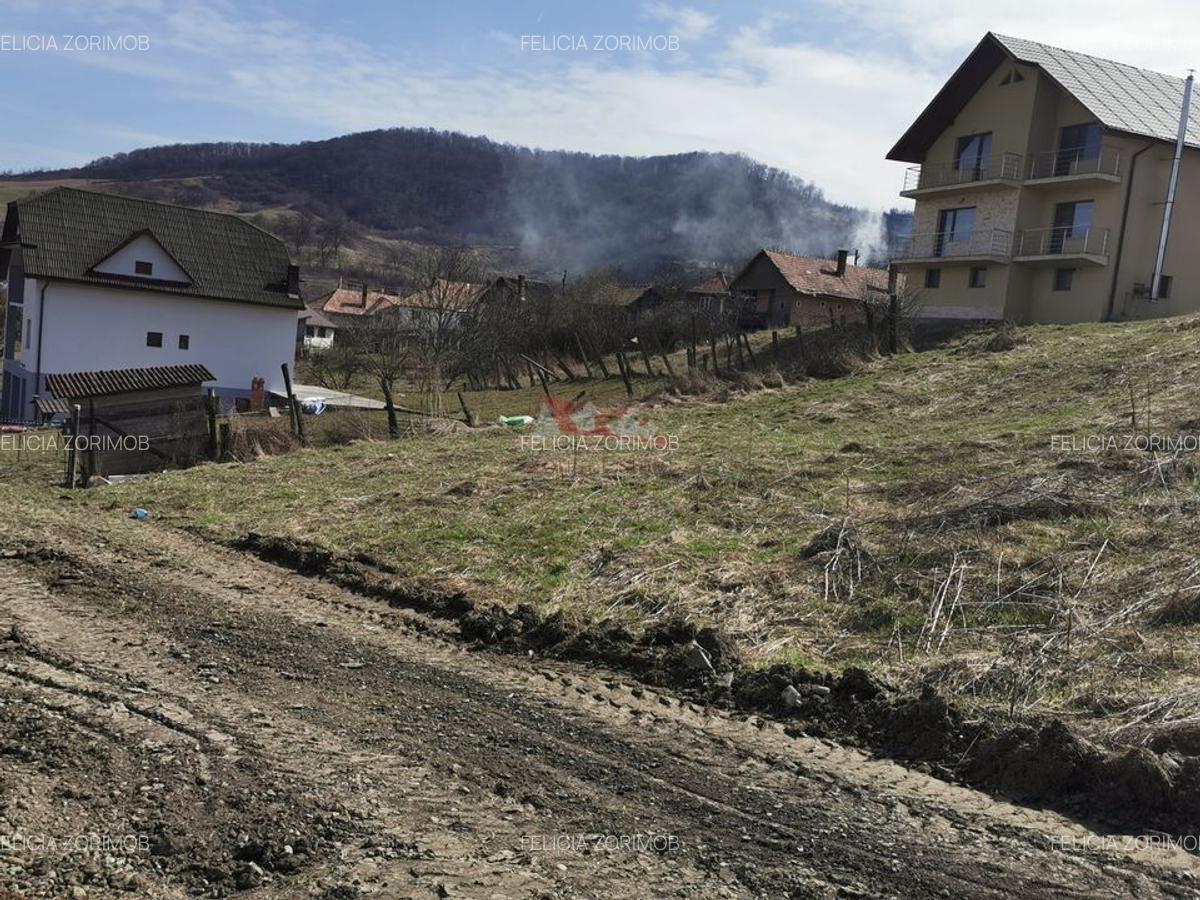 Teren intravilan , cu proiect pentru casa in Dej - 12