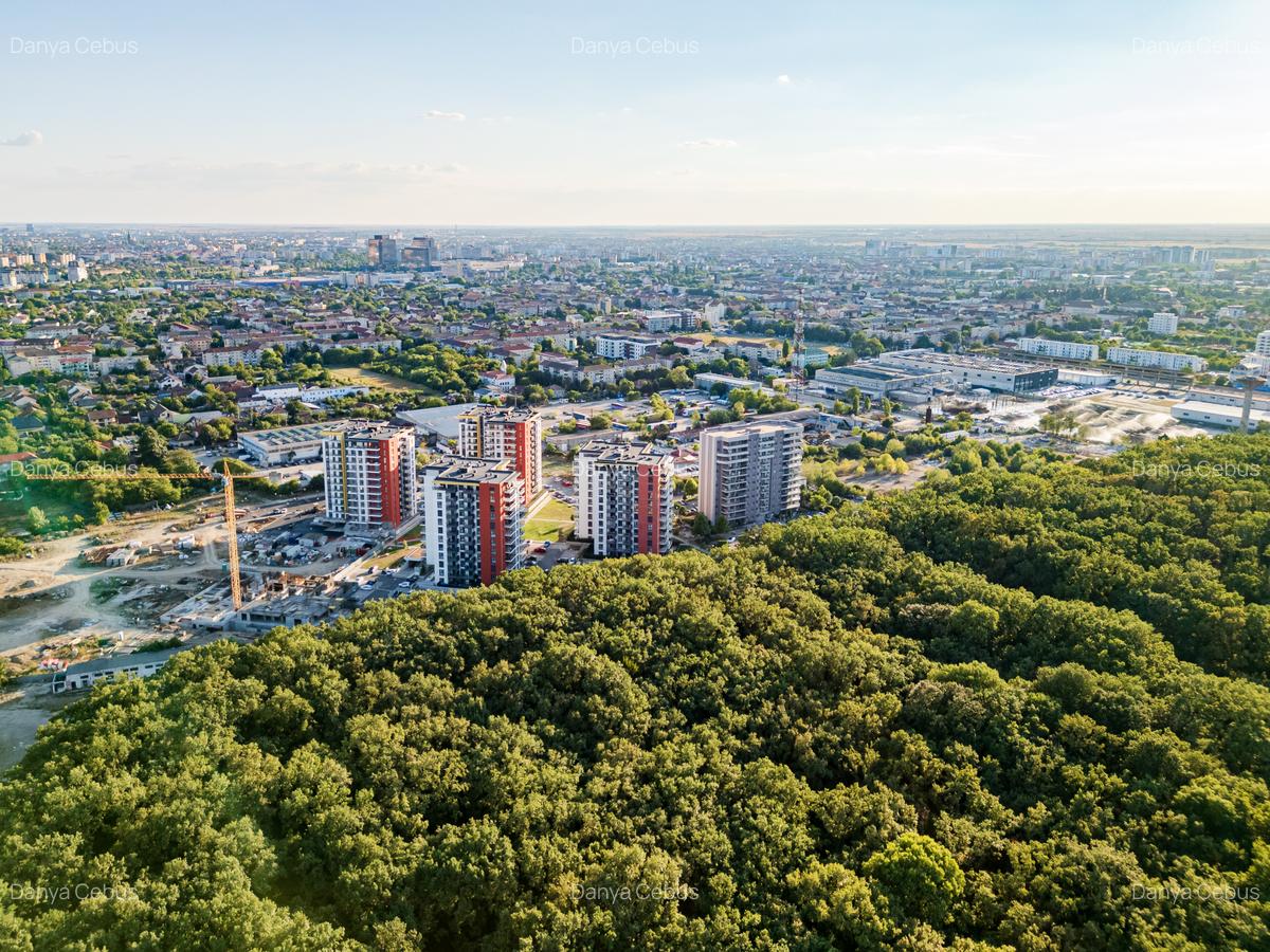 Denya Forest, Timișoara, Județul Timiș - 1