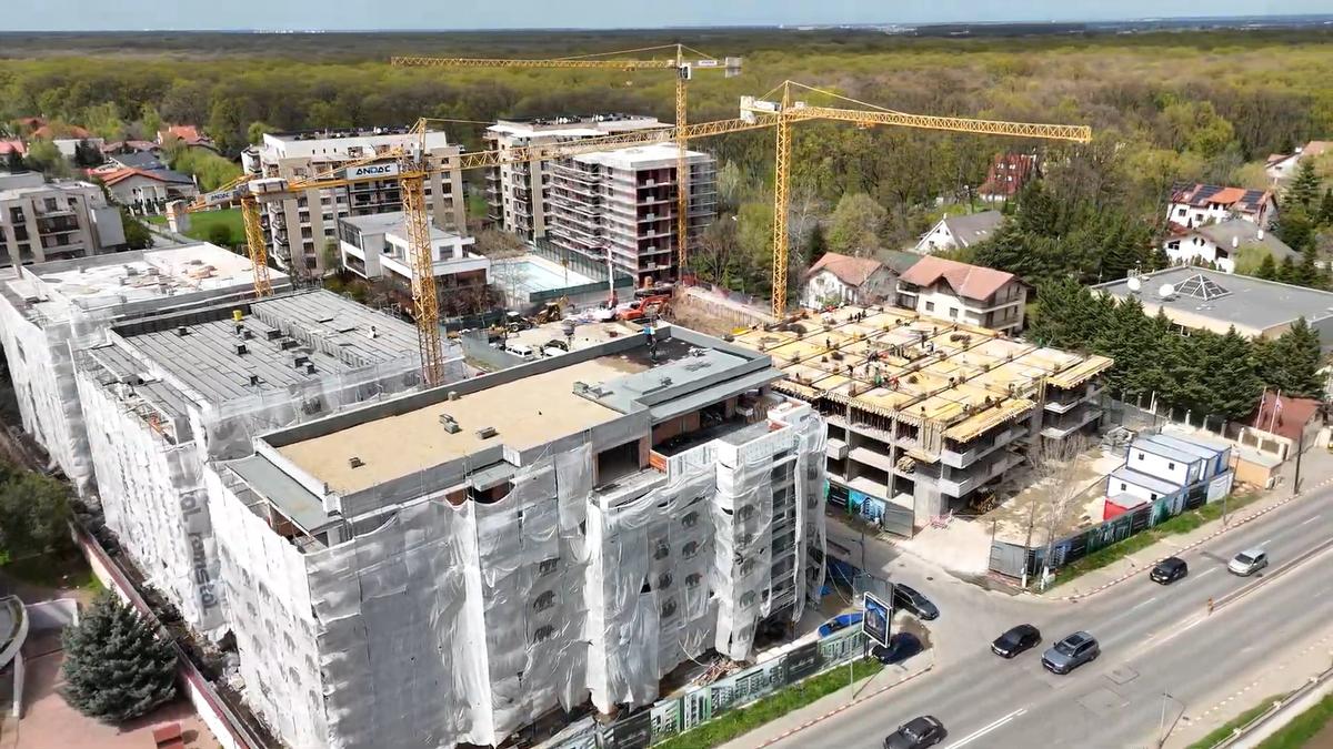 312411ed-0f65-456a-a868-6f143cebf609 - 2