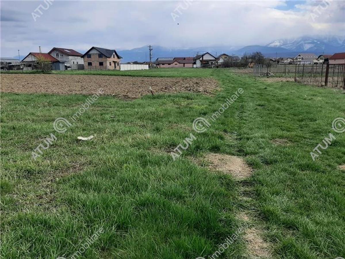 Eren intravilan 1400 mp de vanzare pe Valea Avrigului - 2