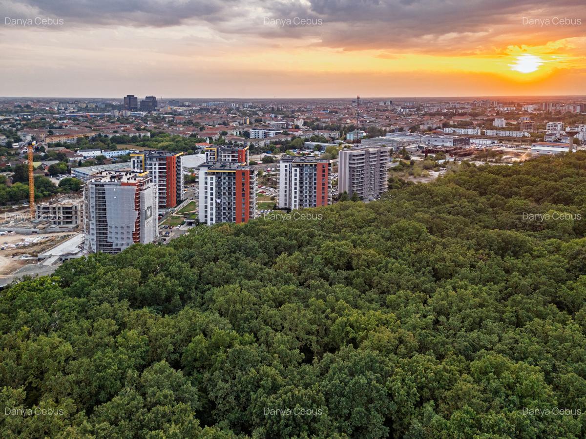 Denya Forest, Timișoara, Județul Timiș - 13