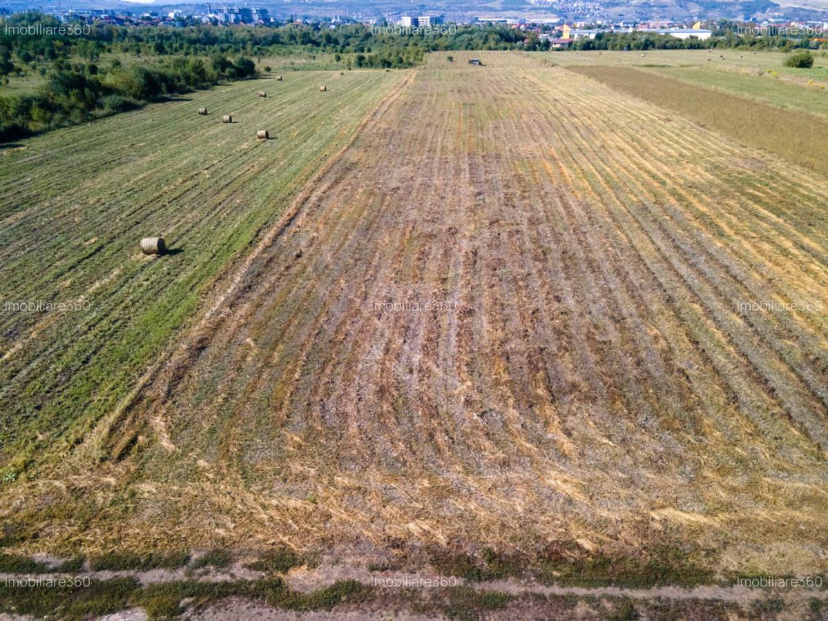 Teren intravilan, 2.800 m2, Cluj-Napoca - 9 Teren intravilan, 2.800 m2, Cluj-Napoca - 9