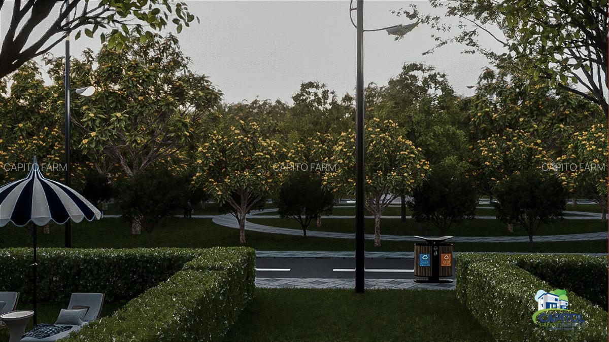 Capitol Green Residence, Cernavodă, Județul Constanța - 12