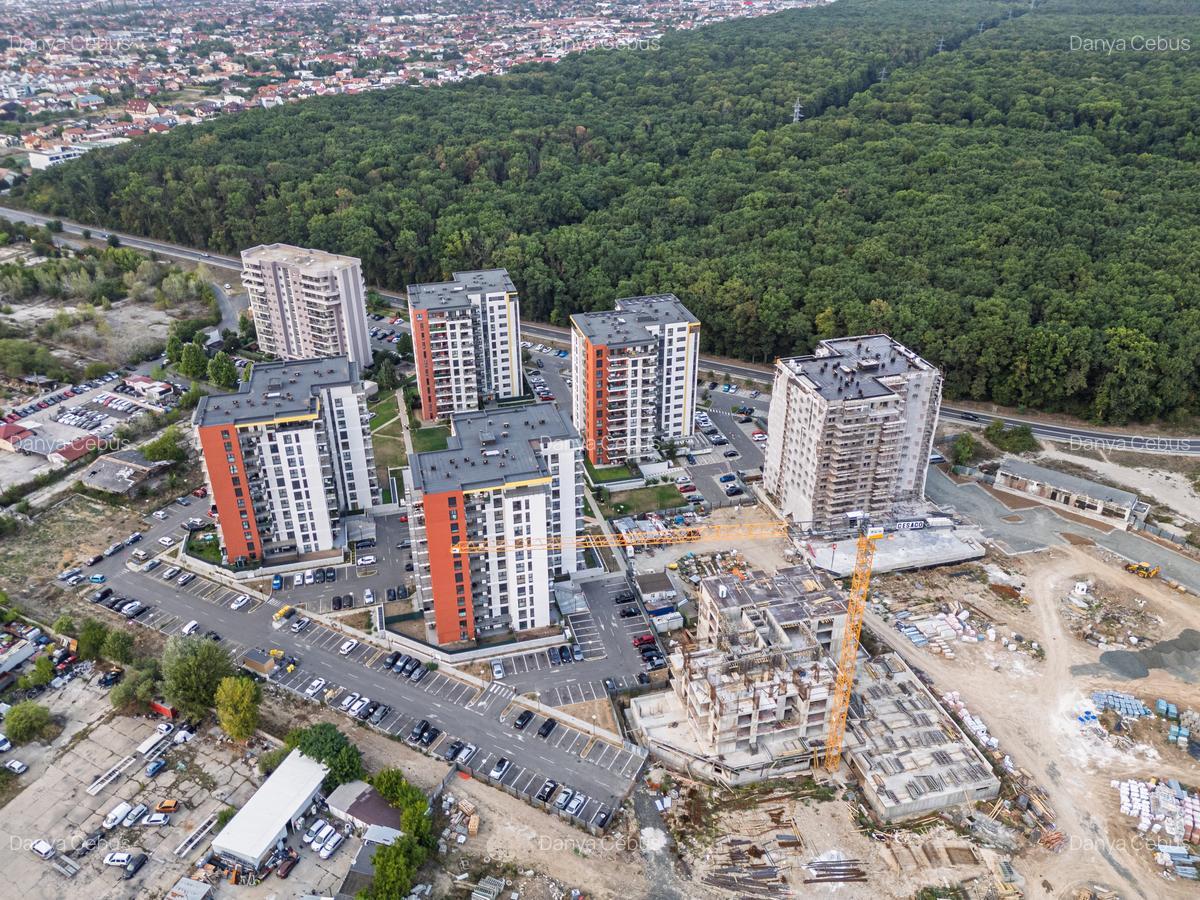 Denya Forest, Timișoara, Județul Timiș - 11