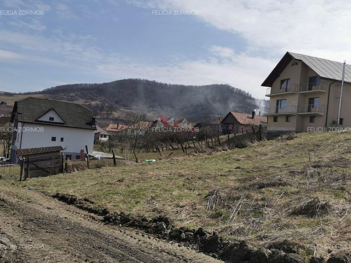 Teren intravilan , cu proiect pentru casa in Dej - 2