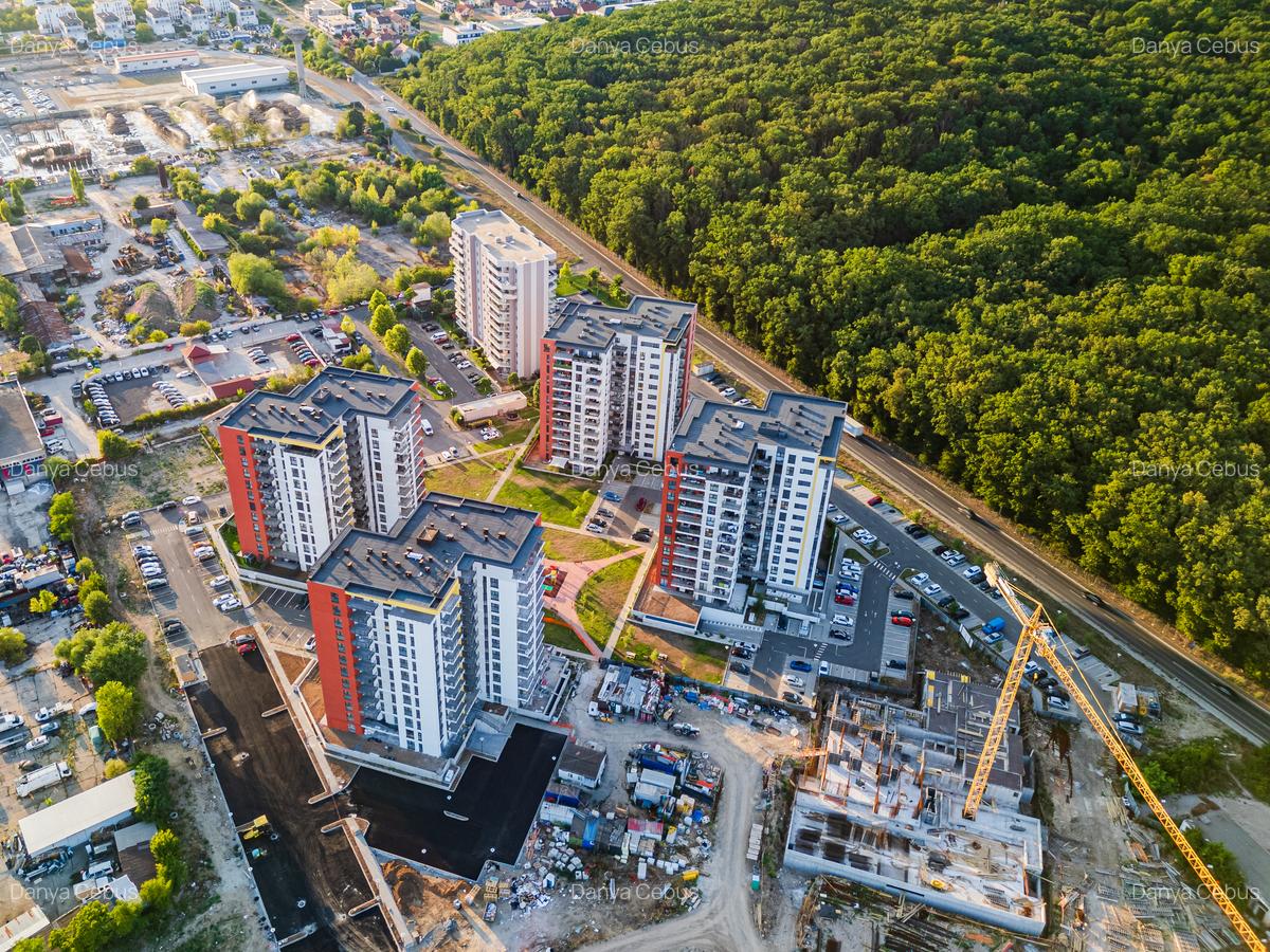 Denya Forest, Timișoara, Județul Timiș - 5