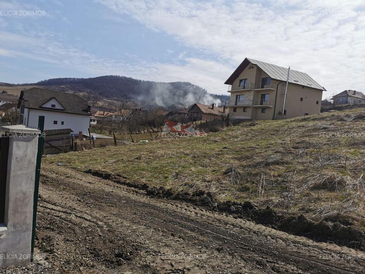 Teren intravilan , cu proiect pentru casa in Dej - 6