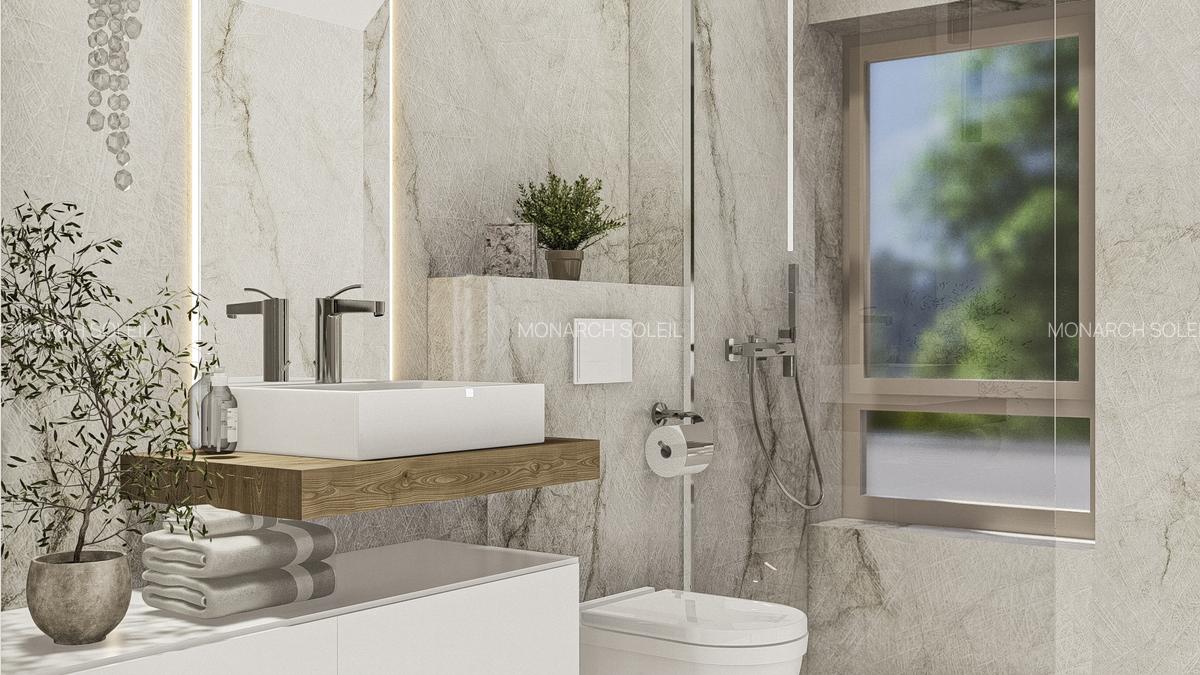 Monarch Soleil, Dumbrăvița, Județul Timiș - 13