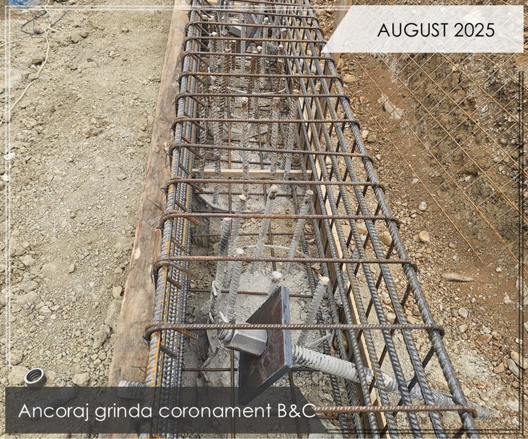 d6549995-630a-4c17-9c3a-b386c748edf7 - 5