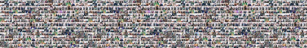 8077e542-ae73-4a2a-9fa4-f93f1bd6c625