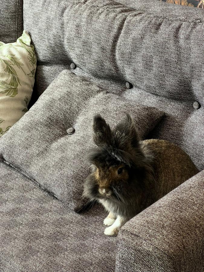 fe46af23-4893-45d9-9c95-1b7d690b9094