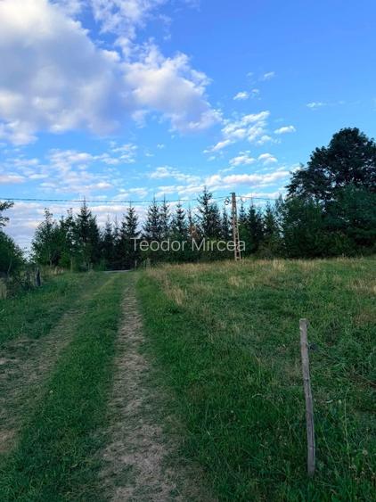 🏔️ TEREN INTRAVILAN DE VÂNZARE – BRAN | 9.085 MP | PRIVELIȘTE PANORAMICĂ | UTIL