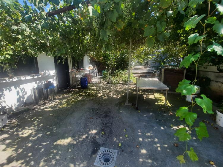 VANZRE CASA RAHOVA- LOCT. POPA - 7