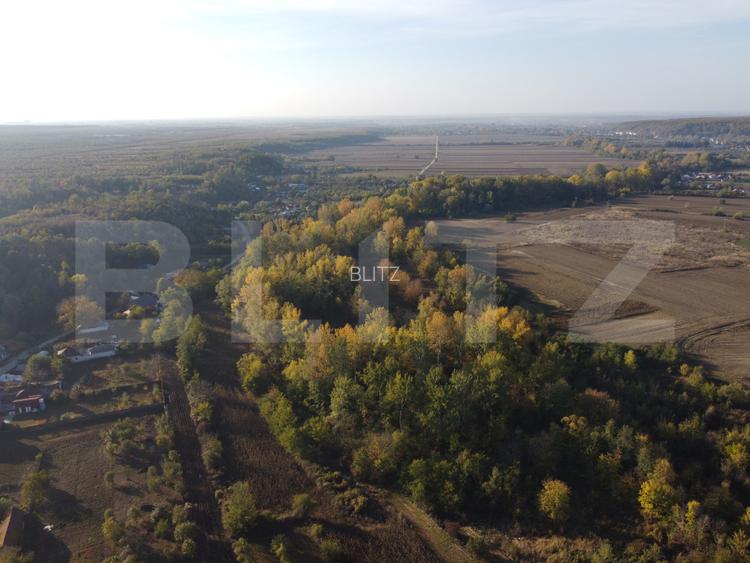 Proprietate de vanzare, 1000 mp, sat Gârleni - 6