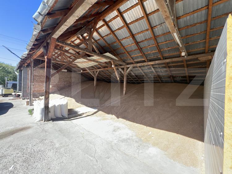 Ferma de vanzare, 250 mp, 70 ha teren agricol, zona Frunzeni