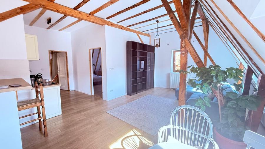 Comision 0% Apartament cu 2 Camere Rustic, Centrul Vechi