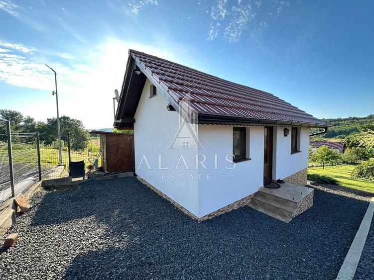 Domeniu privat, cu padure, cabana si teren de tenis, in Nadas