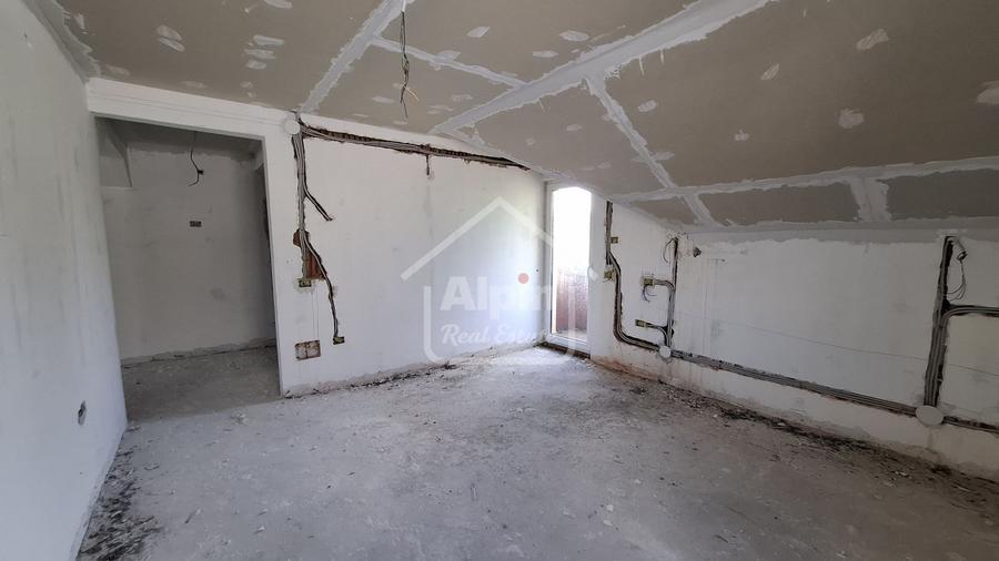 Duplex Zona Linistita Carpinis