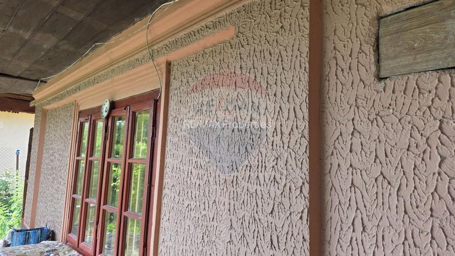 Domeniu rural, gospodarie/multifunctionala cu casa, livada, vie - 41