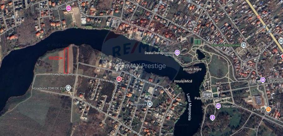 Teren 4000mp Mogosoaia|Strada Eugen Barbu|deschidere lacul Mogosoaia - 2