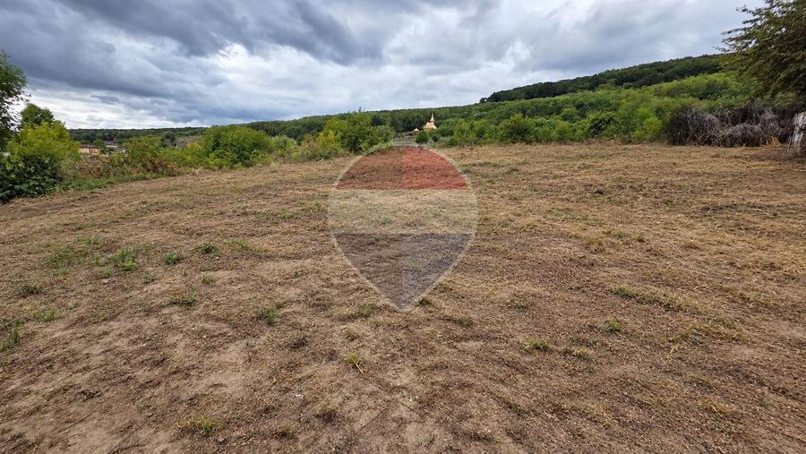 Teren 1,202mp Hemeius / Strada Grigore tabacaru