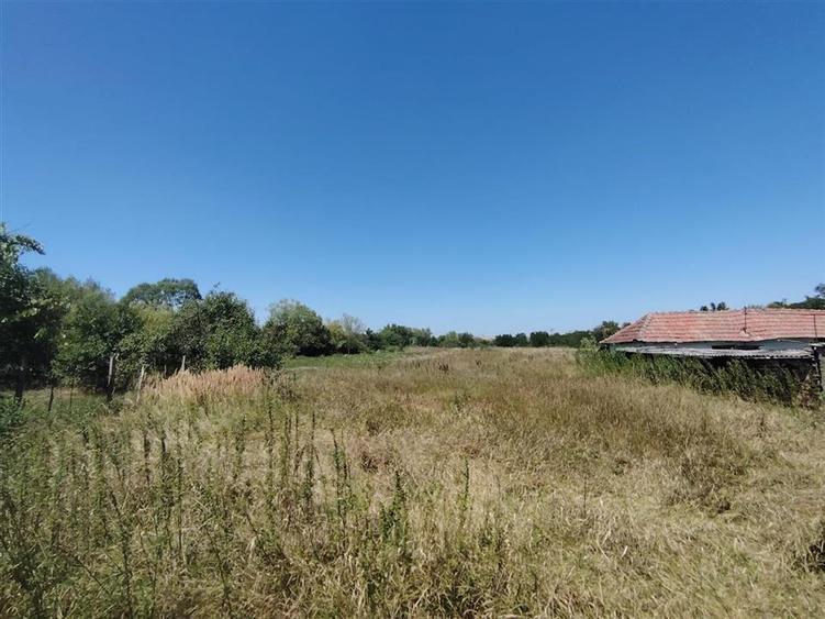 RECO Teren intravilan in Paleu la doar  22euro mp