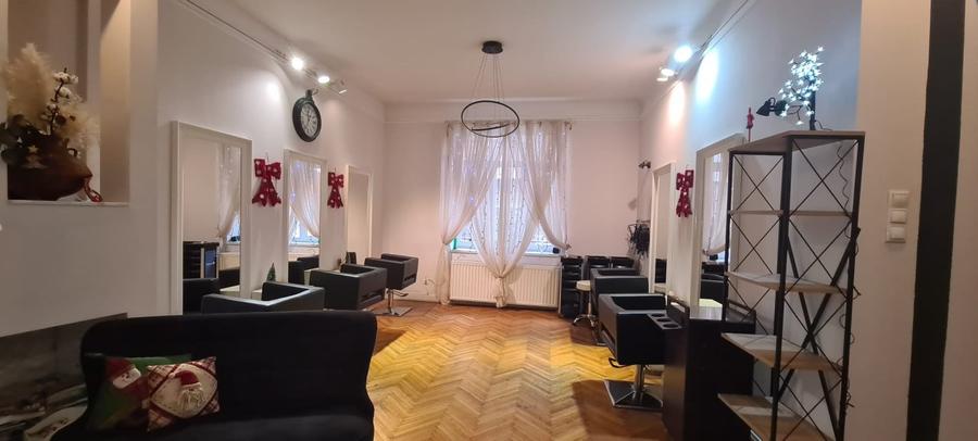 Doua apartamente vecine in vila istorica langa Cismigiu