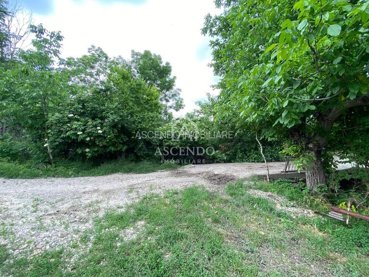 Domeniu 15.900 mp în Fințești | Casă + Investiție Dealu Mare - 26