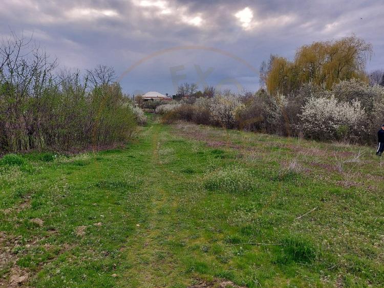 Teren Topoloveni - 3670 mp - langa padure, aproape de Centrul orasului