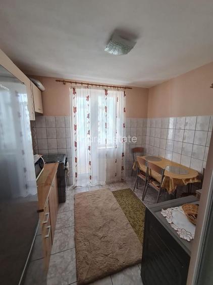 Apartament 1 camera 41 mp utili pivnita si balcon inchis Turnisor - 2