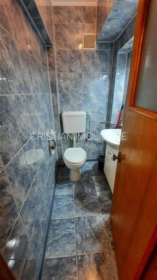 SPATIOS! Duplex Ap 3 camere Calarasilor, 87 mp, renovat - 12