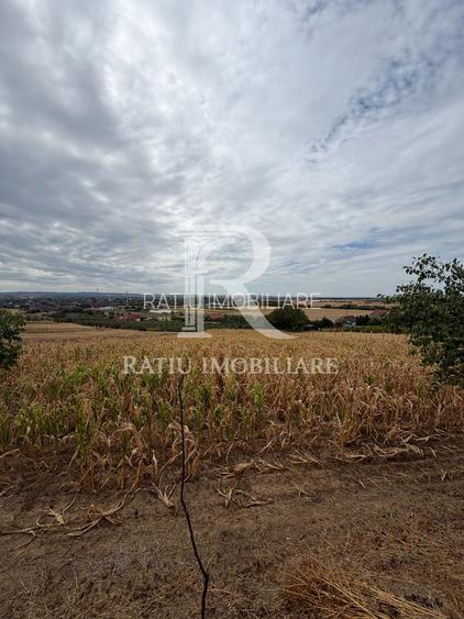 Teren intravilan 1.770 mp – Uileacu de Criș, Tileagd - 2
