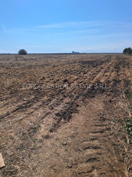EXCLUSIVITATE! TEREN EXTRAVILAN -10.000 mp – COSTINEȘTI, SCHITU, ZONA RADAR