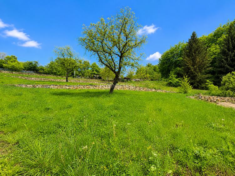 Teren intravilan de vanzare, 3900 mp , front 36 ml,  Faget - 4