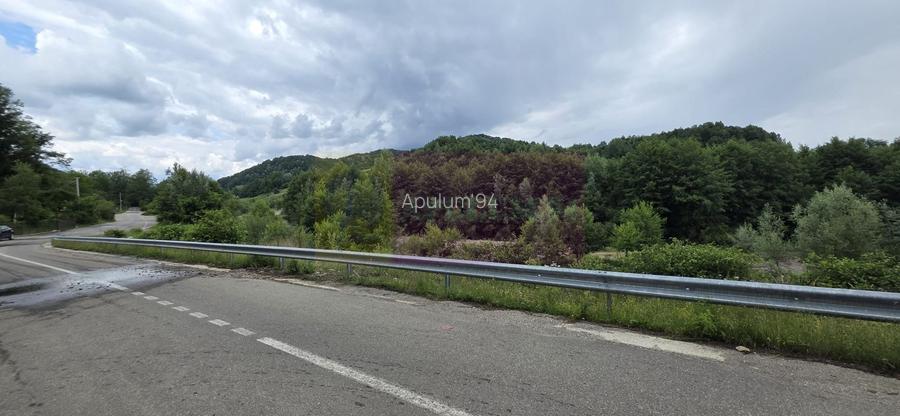 Cabana cu 5 camere de vanzare in Provita - 15